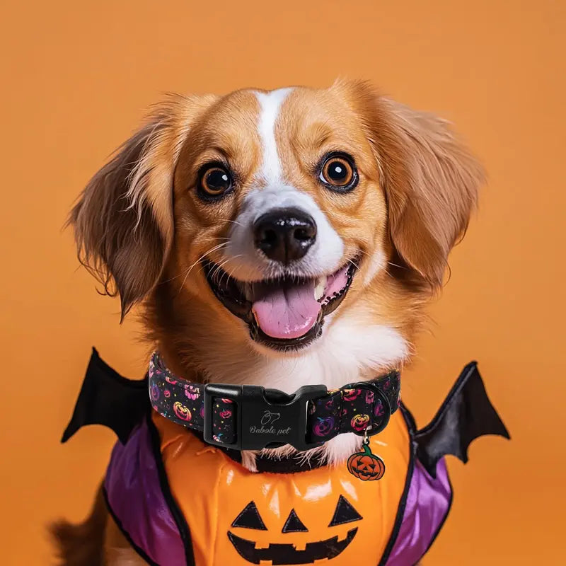 Spooky Theme Halloween Dog Collar - Lightweight Cotton, Adjustable, Leash Secure, Dangling Charm, Pumpkin Faces, Adjustable Collars, X-Small to Large Sizes