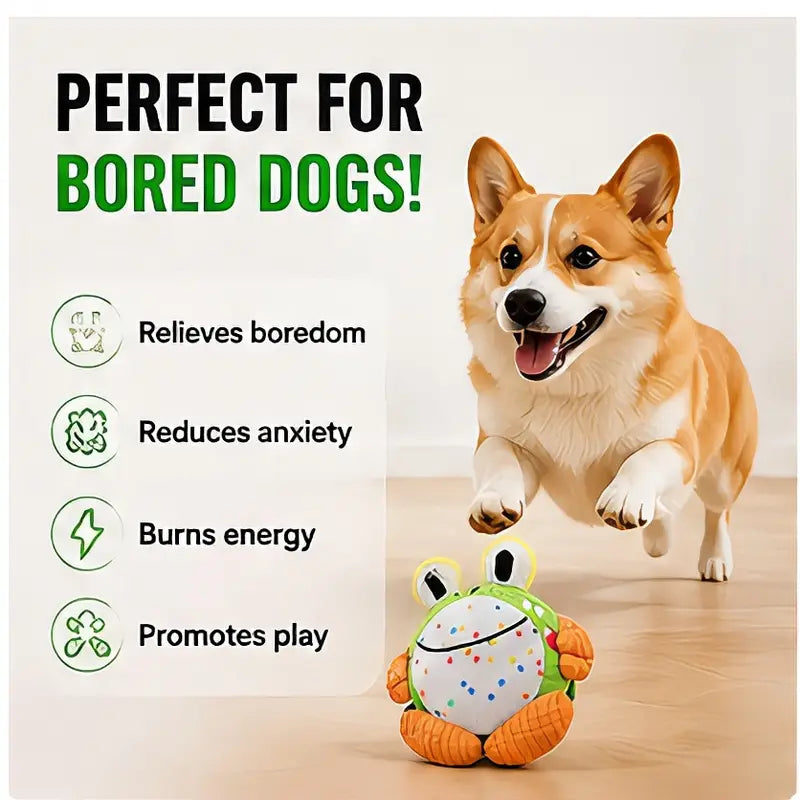 Hoppy the Frog – Crawling Squeaky Plush Dog Toy