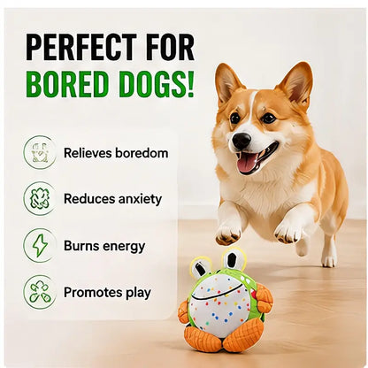 Hoppy the Frog – Crawling Squeaky Plush Dog Toy