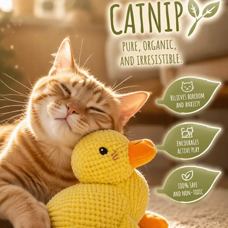UQIOZ New Catnip Plush Cat Toy - Universal Size Interactive Wand for Teasing Play, Chew-Resist Self-Play Boredom Buster, Crinkle Sound Teething Pet Supply for Cat Lovers