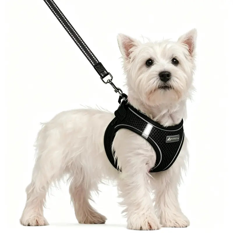 AUROTH Adjustable Step-In Harness and Leash Set for Cats and Small Puppies - Breathable Mesh, Lightweight Design, Padded for Comfort, Reflective Bands for Enhanced Safety