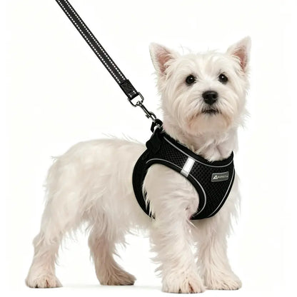 AUROTH Adjustable Step-In Harness and Leash Set for Cats and Small Puppies - Breathable Mesh, Lightweight Design, Padded for Comfort, Reflective Bands for Enhanced Safety