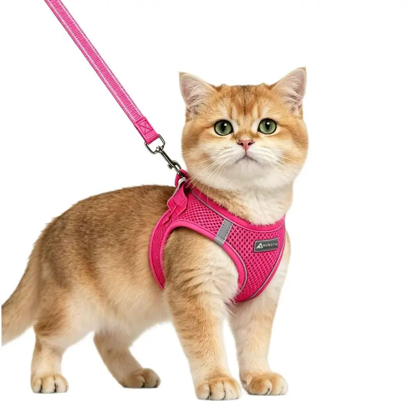 AUROTH Adjustable Step-In Harness and Leash Set for Cats and Small Puppies - Breathable Mesh, Lightweight Design, Padded for Comfort, Reflective Bands for Enhanced Safety