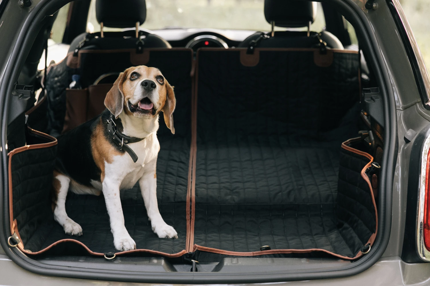 pet seat cover for Volkswagen Jetta